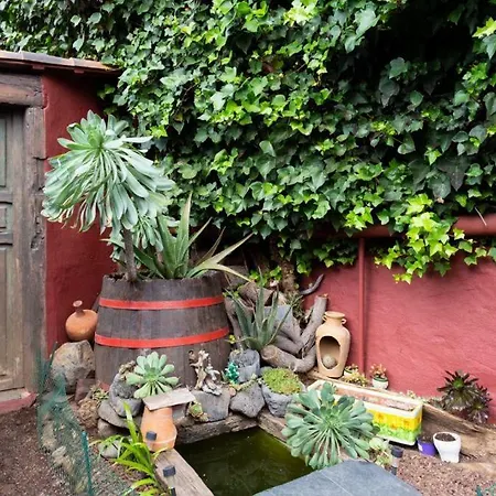 Casa Florida